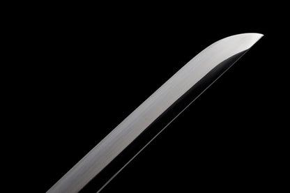 T10 Ultra Mirror-Finish Katana “Ding Lan”